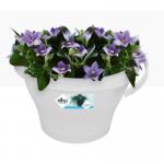 Elho Corsica Drainpipe Clicker Flower Pot 24cm WHITE - PACK (10) NWT7047P