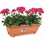The Elho Garden Maintenance Allin1 50cm Balcony Planter Set in a vibrant TERRACOTTA color is perfect for adding a pop of color to your balcony or patio. With 5 planters included, you can create a beautiful garden space for your outdoor relaxation.