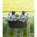 Elho Easy Hanger Large Twin Pot LIVING BLACK - PACK (5) NWT7068P