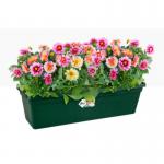 Elho Greens Basics Trough Large 60cm LEAF GREEN NWT7069