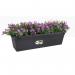 Elho Greens Basics Trough Large 60cm LIVING BLACK NWT7070