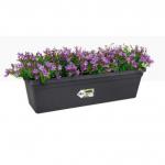 Elho Green Basics Large Trough 60cm LIVING BLACK - PACK (10) NWT7070P