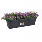 Elho Greens Basics Trough Large 60cm LIVING BLACK - PACK (10) NWT7070P