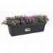 This photo showcases the Elho Garden Maintenance Elho Green Basics Large Trough 60cm LIVING BLACK, with a pack of 10 in brand-new condition. The sleek black design is modern and stylish, perfect for any garden or outdoor space. The large size allows for plenty of room to grow a variety of plants or flowers.