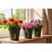 Elho Green Basics Grow Pot 13cm LEAF GREEN NWT7073