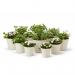 Elho Green Basics Grow Pot 13cm COTTON WHITE NWT7075