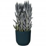 The photograph shows a vibrant, deep blue Elho Vibes Fold Round 14cm Display INDOOR Pot from Elho Garden Maintenance. It features a stylish design and is sold in a pack of 8. NWT7086P.