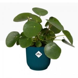 Elho Vibes Fold Round 25cm Display INDOOR Pot DEEP BLUE - PACK 4