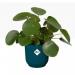 Elho Vibes Fold Round 25cm Display INDOOR Pot DEEP BLUE - PACK (4) NWT7090P