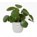 Elho Vibes Fold Round 25cm Display INDOOR Pot SILKY WHITE NWT7091
