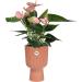 Elho Vibes Fold Coupe Tall Pot 14cm DELICATE PINK NWT7093