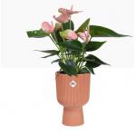 Elho Vibes Fold Coupe Tall Pot 14cm DELICATE PINK NWT7093