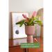 Elho Vibes Fold Coupe Tall INDOOR Pot 14cm DELICATE PINK - PACK (4) NWT7093P