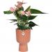 Elho Vibes Fold Coupe Tall INDOOR Pot 14cm DELICATE PINK - PACK (4) NWT7093P