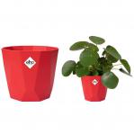 Elho B.For Rock 18cm Display Pot BRILLIANT RED NWT7103