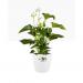 Elho Brussels Large Round Wheeled Pot 40cm WHITE NWT7104