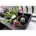 Spear & Jackson IPC3PS Indoor Plant Care 3 Piece Tools Set Garden, Red and Blue, 40.0 mm*230.0 mm*18 NWT7227