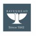 Ravenhead Classic Glass Jug Pitcher 1.3 Litre - PACK (6) NWT7283P
