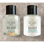 Sea Kelp Conditioner Bottle 30ml - PACK (220) NWT7312P