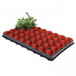 In the photo, we see a vibrant Ambassador Garden Maintenance Ambassador Growing Tray filled with 40 round pots. The pots are brand new with tags still attached. This setup is ready for new plants to be nurtured and grown with care.
