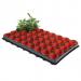 Ambassador Growing Tray 40 Round Pots NWT7327