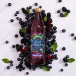 Robinsons Fruit Creations Blackberry & Blueberry Squash 1 Litre NWT7354