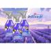 Astonish Morning Dew Pet Fresh Disinfectant 550ml - PACK (12) NWT7377P