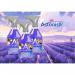 Astonish Morning Dew Pet Fresh Disinfectant 550ml - PACK (12) NWT7377P