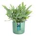 Elho PACIFIC GREEN Round Planter 16cm NWT7490