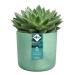 Elho PACIFIC GREEN Round Planter 16cm NWT7490