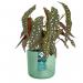 Elho PACIFIC GREEN Round INDOOR Planter 16cm NWT7490