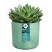 Elho PACIFIC GREEN Round INDOOR Planter 16cm - PACK (8) NWT7490P