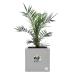 Elho Vivo Next LIVING CONCRETE Square Planter 60cm NWT7498