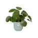 Elho Vibes SORBET GREEN Fold Round Planter 14cm NWT7499