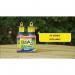 Zero In Fly Max The Buzz Fly Catcher 2s (STV336) - PACK (12) NWT7533P