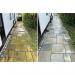 Algon Organic Path and Patio Cleaner Concentrate 2.5 Litre - PACK (4) NWT7931P