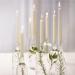 Bolsius Tapered Candles 10 Inch Ivory 7 Hour Burn 100s NWT7938