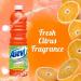 Asevi Orange Concentrated Floor Cleaner 1 Litre NWT8083