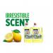 Fairy Lemon Professional Washing Up Liquid 5 Litres NWT8089