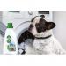 Dettol Pet Friendly Antibacterial Laundry Sanitiser, FRESH BREEZE 750ml NWT8115
