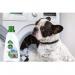 Dettol Pet Friendly Antibacterial Laundry Sanitiser, FRESH BREEZE 750ml - PACK (6) NWT8115P