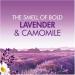 Bold 2 in 1 Lavender & Camomile Liquitabs 50s NWT819
