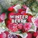 Airwick Freshmatic Refill Winter Berry 250ml - PACK (4) NWT8307P