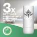 Airwick Freshmatic Refill Peony Garden Party 250ml NWT8308