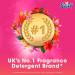 Surf Powder Tropical Lily Fragrance : 23 Wash : 1.15kg - PACK (4) NWT8355P