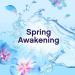 Lenor Fabric Conditioner SPRING AWAKENING 80W 2.64L NWT8375