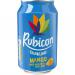 Rubicon Sparkling Mango Drink 24 x 330ml Cans NWT8420