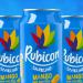 Rubicon Sparkling Mango Drink 24 x 330ml Cans NWT8420