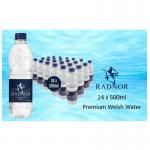 Radnor Hills Spring Still Water 24x500ml NWT862