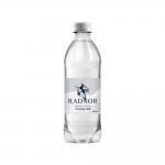 Radnor Hills Spring Sparkling Water 24x500ml NWT863